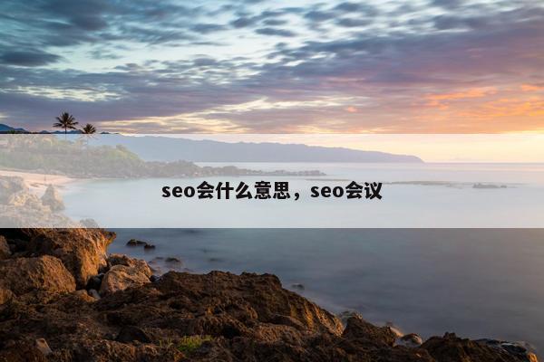 seo会什么意思，seo会议