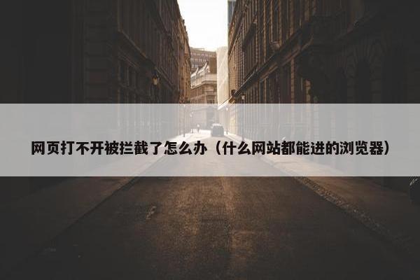 网页打不开被拦截了怎么办（什么网站都能进的浏览器）