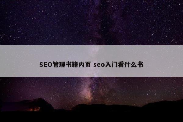 SEO管理书籍内页 seo入门看什么书