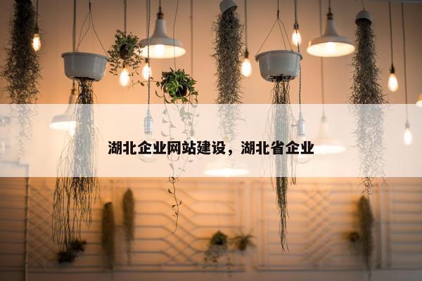 湖北企业网站建设，湖北省企业