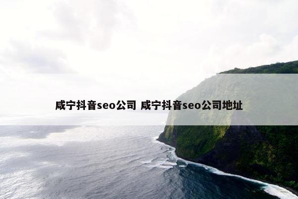 咸宁抖音seo公司 咸宁抖音seo公司地址