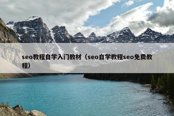 seo教程自学入门教材（seo自学教程seo面菲教程）