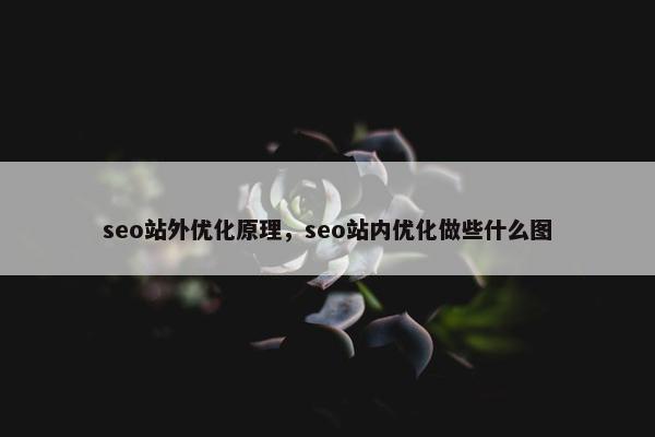 seo站外优化原理，seo站内优化做些什么图