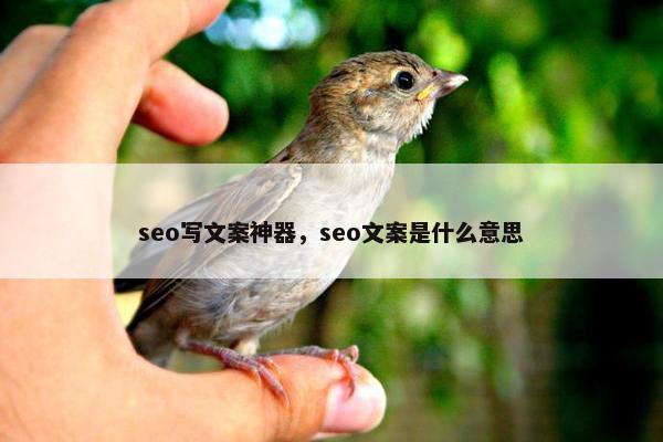 seo写文案神器，seo文案是什么意思