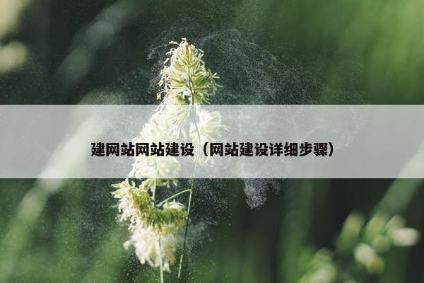 建网站网站建设（网站建设详细步骤）