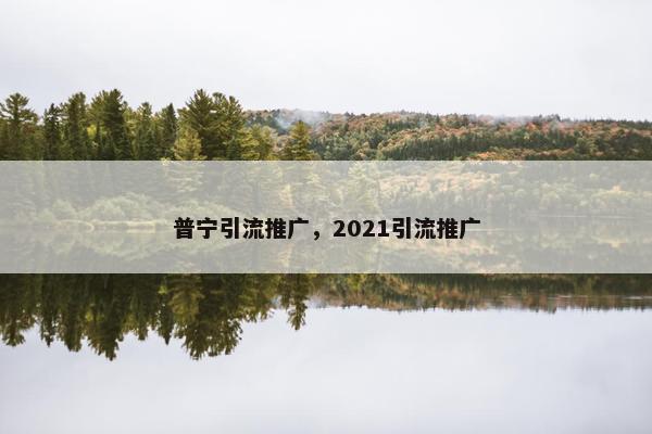 普宁引流推广，2021引流推广