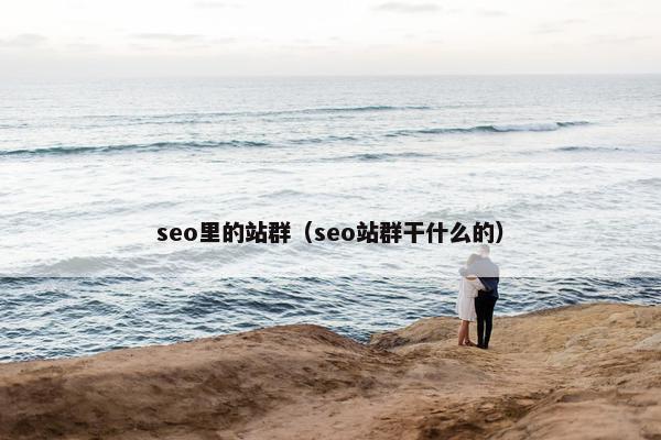 seo里的站群（seo站群干什么的）