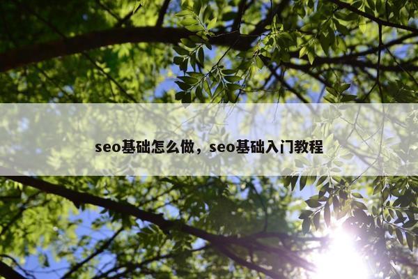 seo基础怎么做，seo基础入门教程