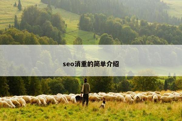 seo消重的简单介绍