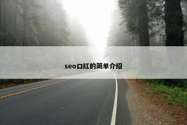 seo口红的简单介绍