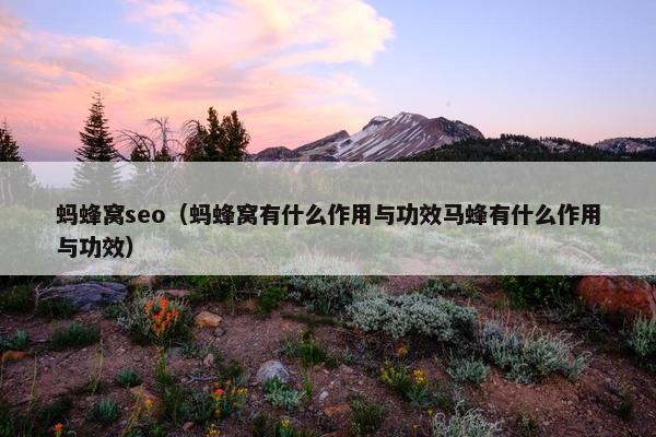 蚂蜂窝seo（蚂蜂窝有什么作用与功效马蜂有什么作用与功效）