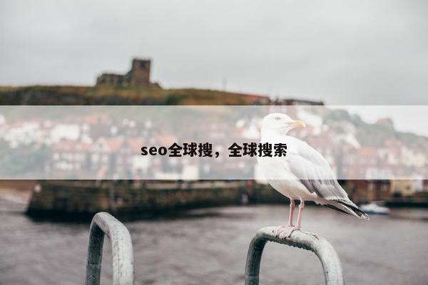 seo全球搜，全球搜索