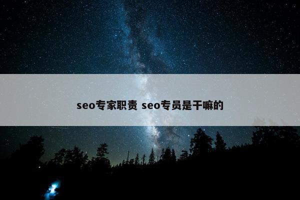 seo专家职责 seo专员是干嘛的