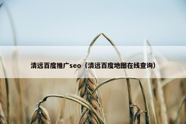 清远百度推广seo（清远百度地图在线查询）