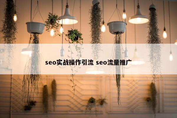 seo实战操作引流 seo流量推广