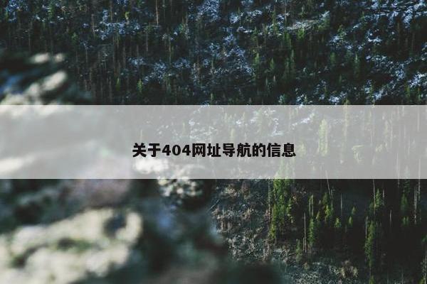 关于404网址导航的信息