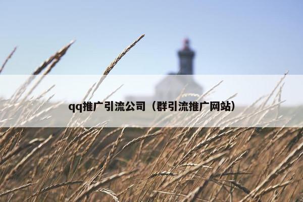 qq推广引流公司（群引流推广网站）