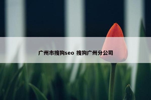 广州市搜狗seo 搜狗广州分公司