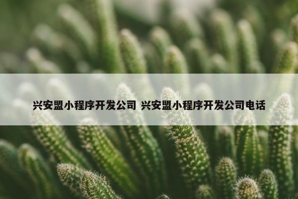 兴安盟小程序开发公司 兴安盟小程序开发公司电话