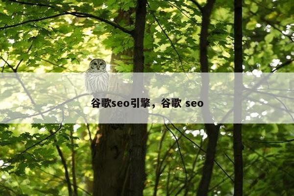 谷歌seo引擎，谷歌 seo