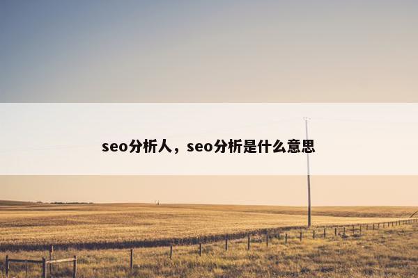 seo分析人，seo分析是什么意思