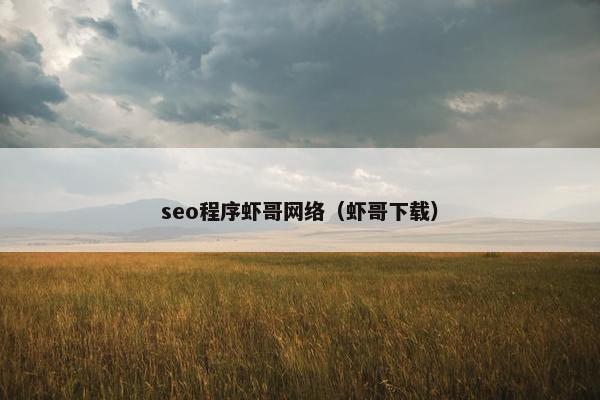 seo程序虾哥网络（虾哥）