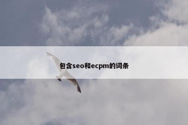 包含seo和ecpm的词条