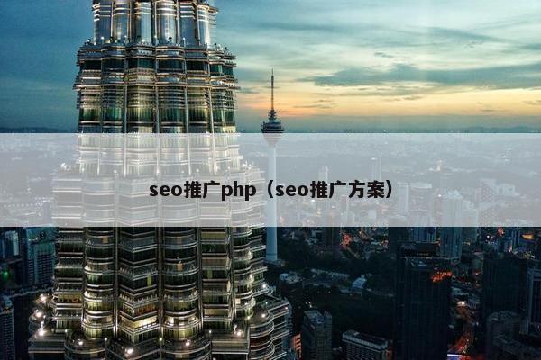 seo推广php（seo推广方案）