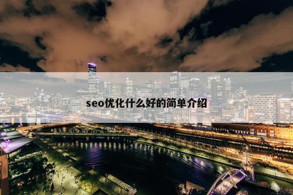 seo优化什么好的简单介绍