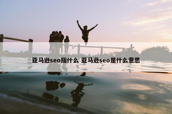 亚马逊seo指什么 亚马逊seo是什么意思