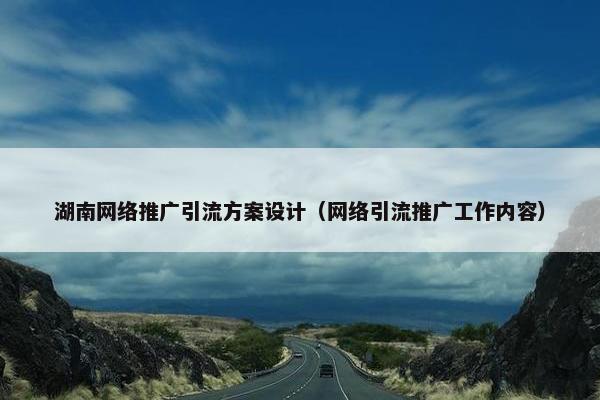 湖南网络推广引流方案设计（网络引流推广工作内容）