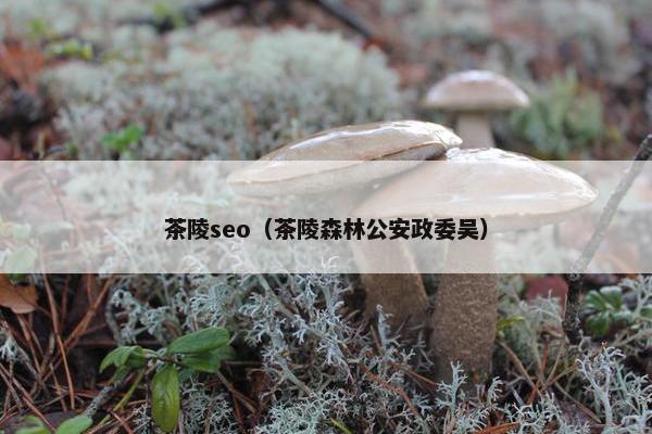 茶陵seo（茶陵森林公安政*吴）