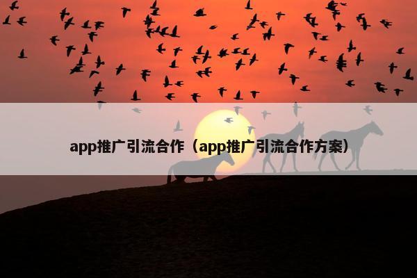 app推广引流合作（app推广引流合作方案）