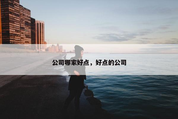 公司哪家好点，好点的公司