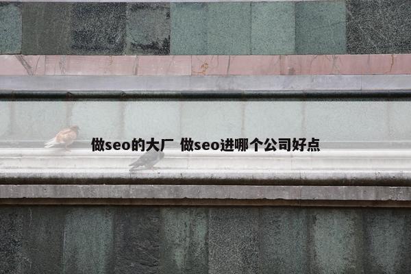 做seo的大厂 做seo进哪个公司好点