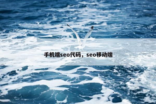 手机端seo代码，seo移动端