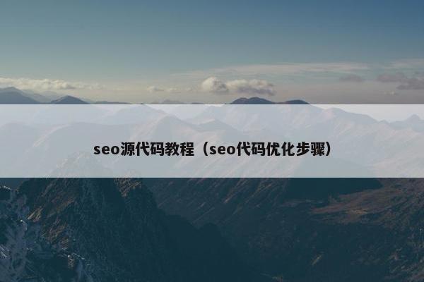 seo源代码教程（seo代码优化步骤）