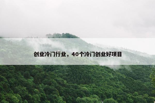 创业冷门行业，40个冷门创业好项目