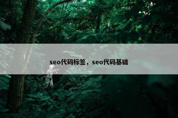 seo代码标签，seo代码基础