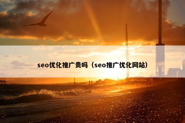 seo优化推广贵吗（seo推广优化网站）