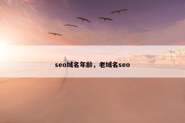 seo域名年龄，老域名seo