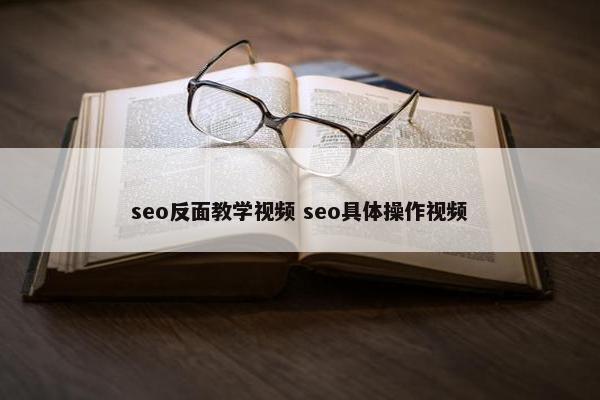 seo反面教学视屏 seo具体操作视屏