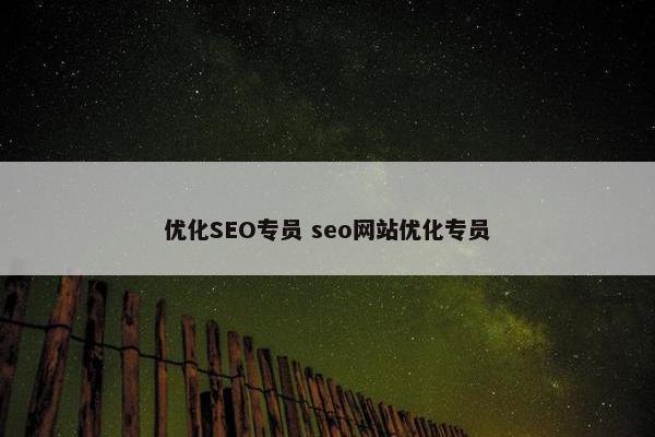 优化SEO专员 seo网站优化专员