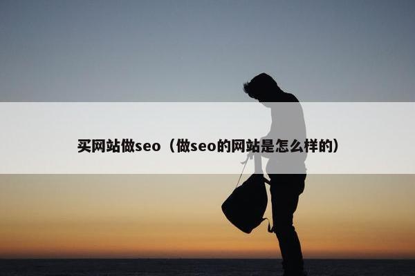 买网站做seo（做seo的网站是怎么样的）