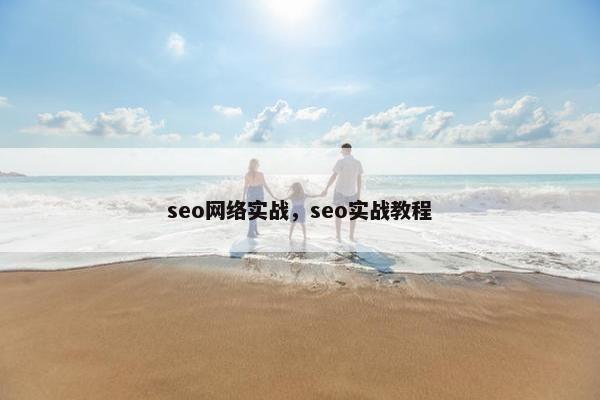 seo网络实战，seo实战教程