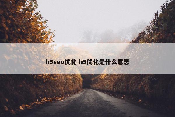 h5seo优化 h5优化是什么意思