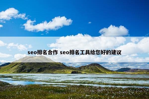 seo排名合作 seo排名工具给您好的建议