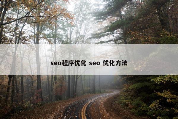 seo程序优化 seo 优化方法