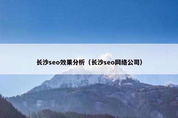 长沙seo效果分析（长沙seo网络公司）