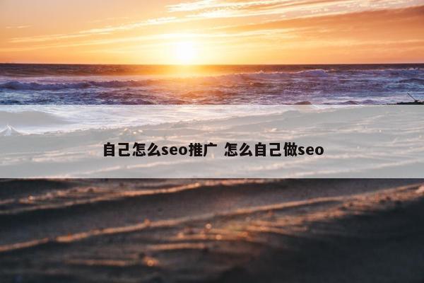 自己怎么seo推广 怎么自己做seo